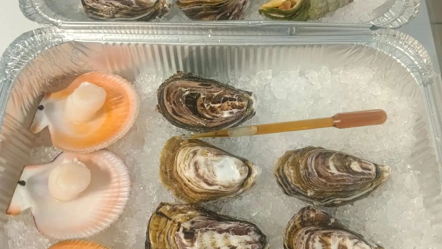 Морской ужин дома — сайт